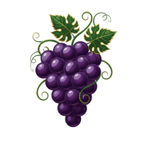 Wine grape varieties and characteristics — how varietals shape flavors, aromas, and wine styles
